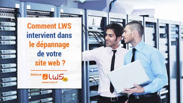 miniature-lws-intervient-depannage