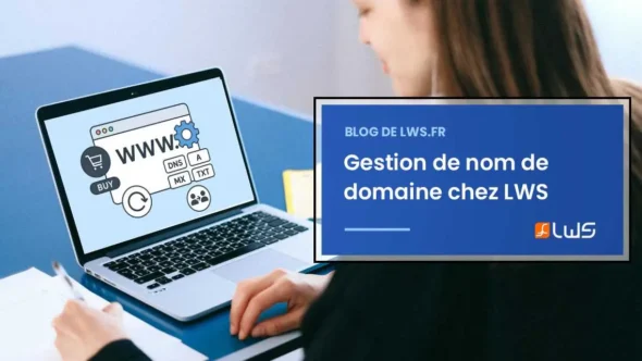 miniature-gestion-de-nom-de-domaine-lws