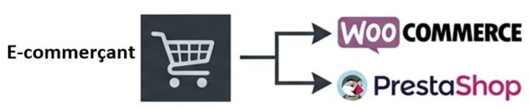 Boutique en ligne, choisissez WooCommerce ou Prestashop