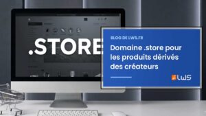 Domaine .store pour les produits dérivés des créateurs