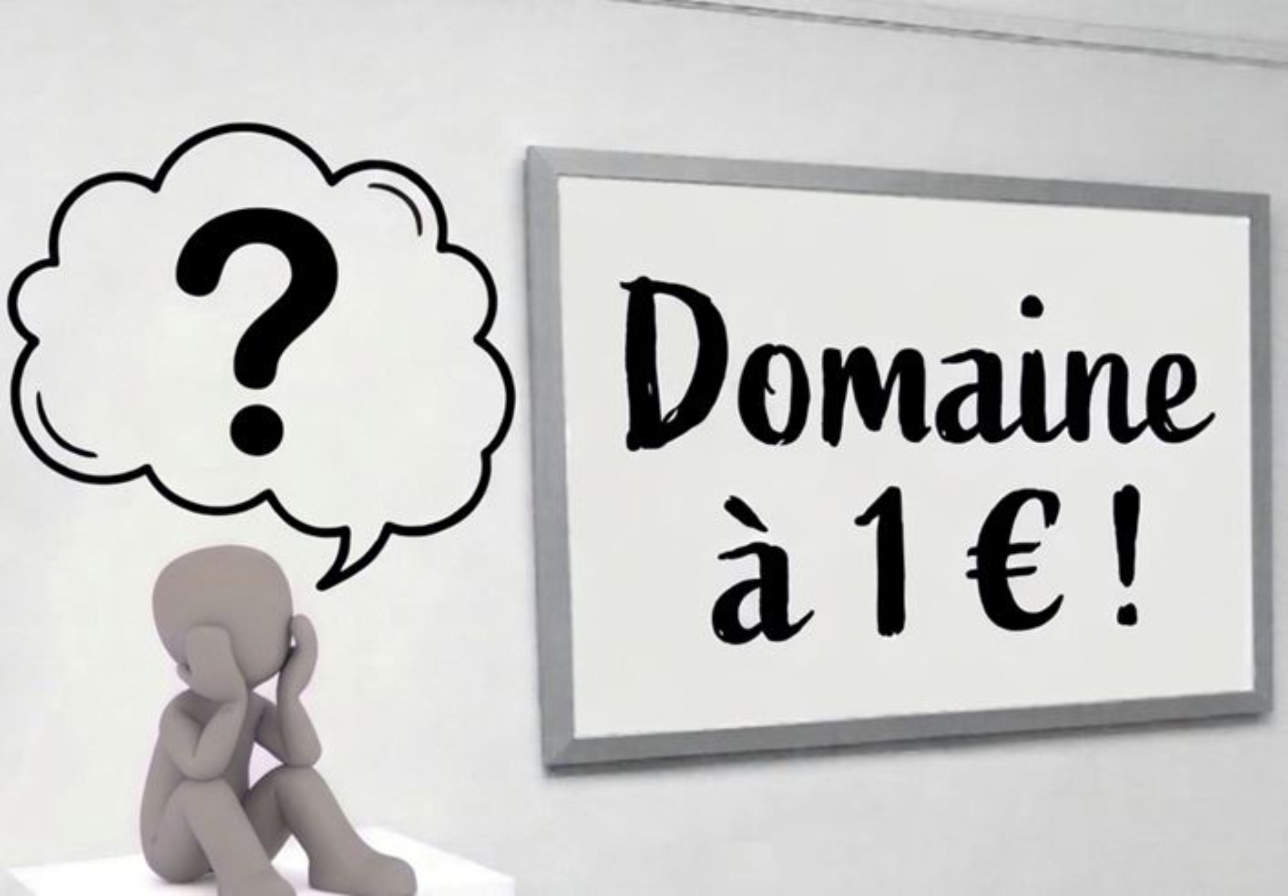 Domaine à 1 €